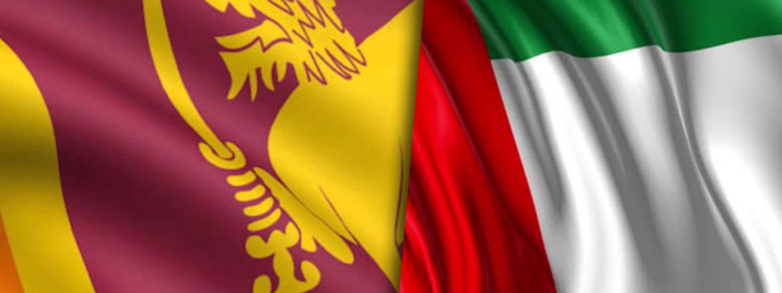 Forty Four Sri Lankans in UAE jails pardoned